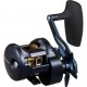 Daiwa 25 SALTIGA 300L