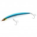 Minnows